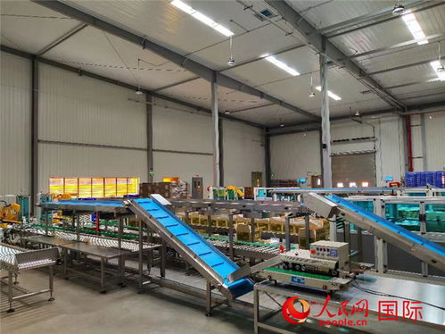 洽洽首座海外工廠投產(chǎn) 年產(chǎn)能3萬噸，劍指全球市場